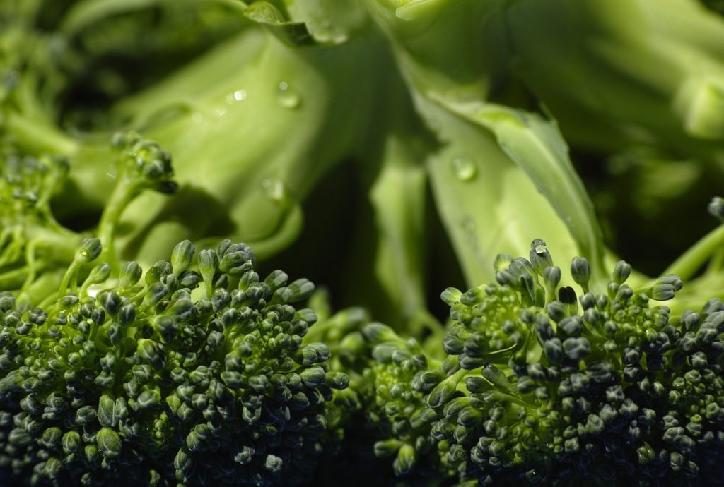 broccoli, organic, food