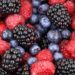 berries, free background, desktop backgrounds