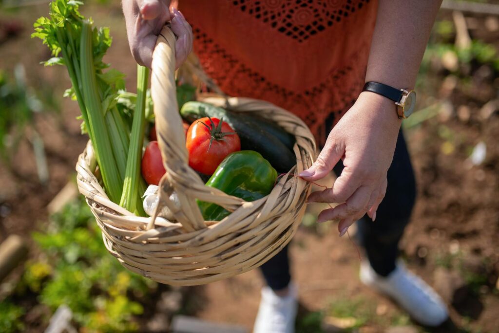 Person Holding Brown Woven Basket With Red and Green Vegetable