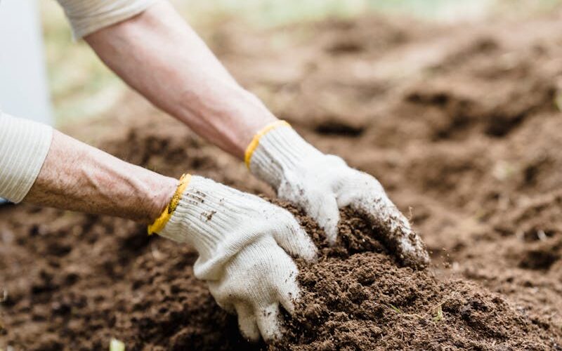 Close-up of an Elderly Person Gardening