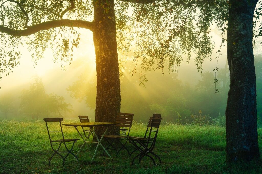 sunrise, morning, chairs