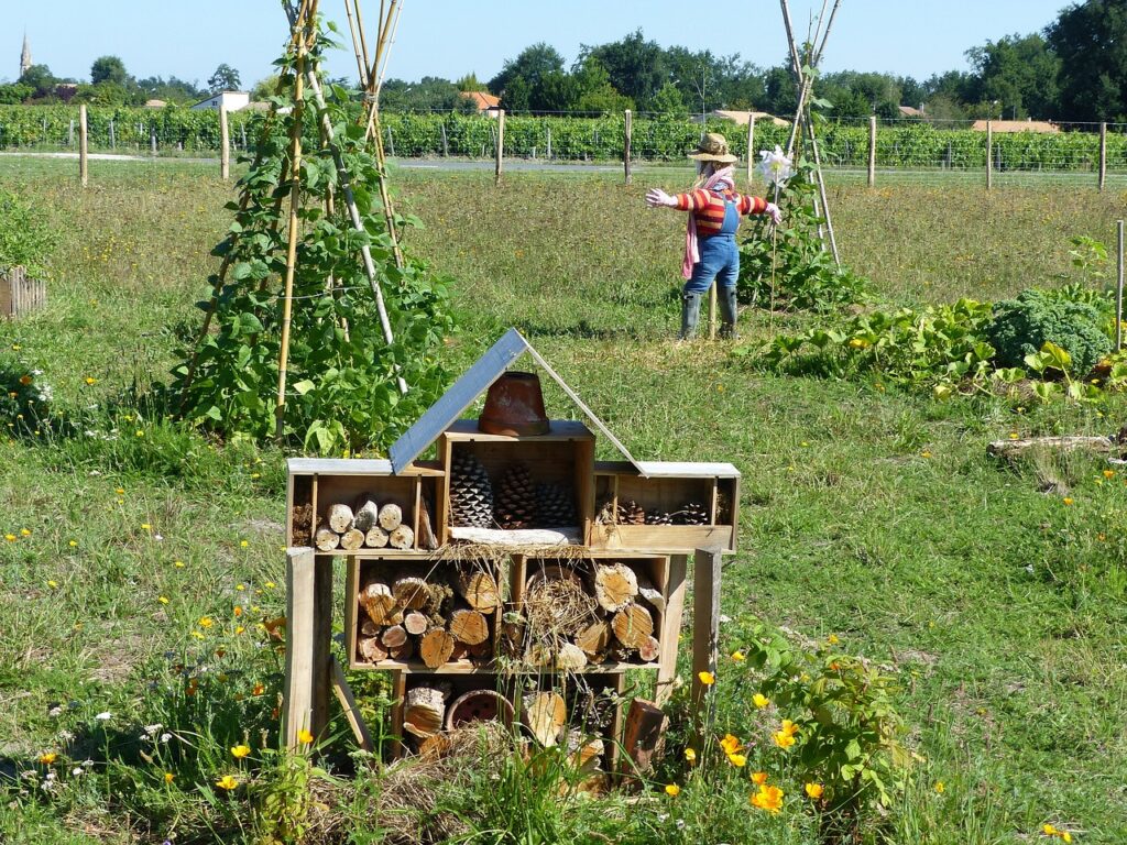 Permakultur Im Eigenen Garten: Nachhaltig Und Ertragreich Gärtnern