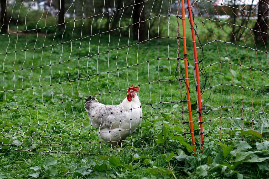 Permakultur Im Eigenen Garten: Nachhaltig Und Ertragreich Gärtnern