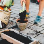 person putting soil inside brown planter