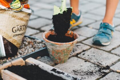 person putting soil inside brown planter