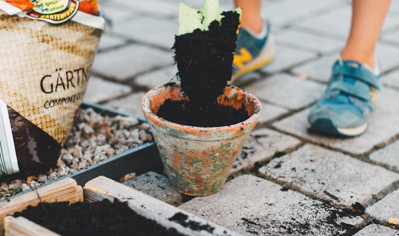 person putting soil inside brown planter